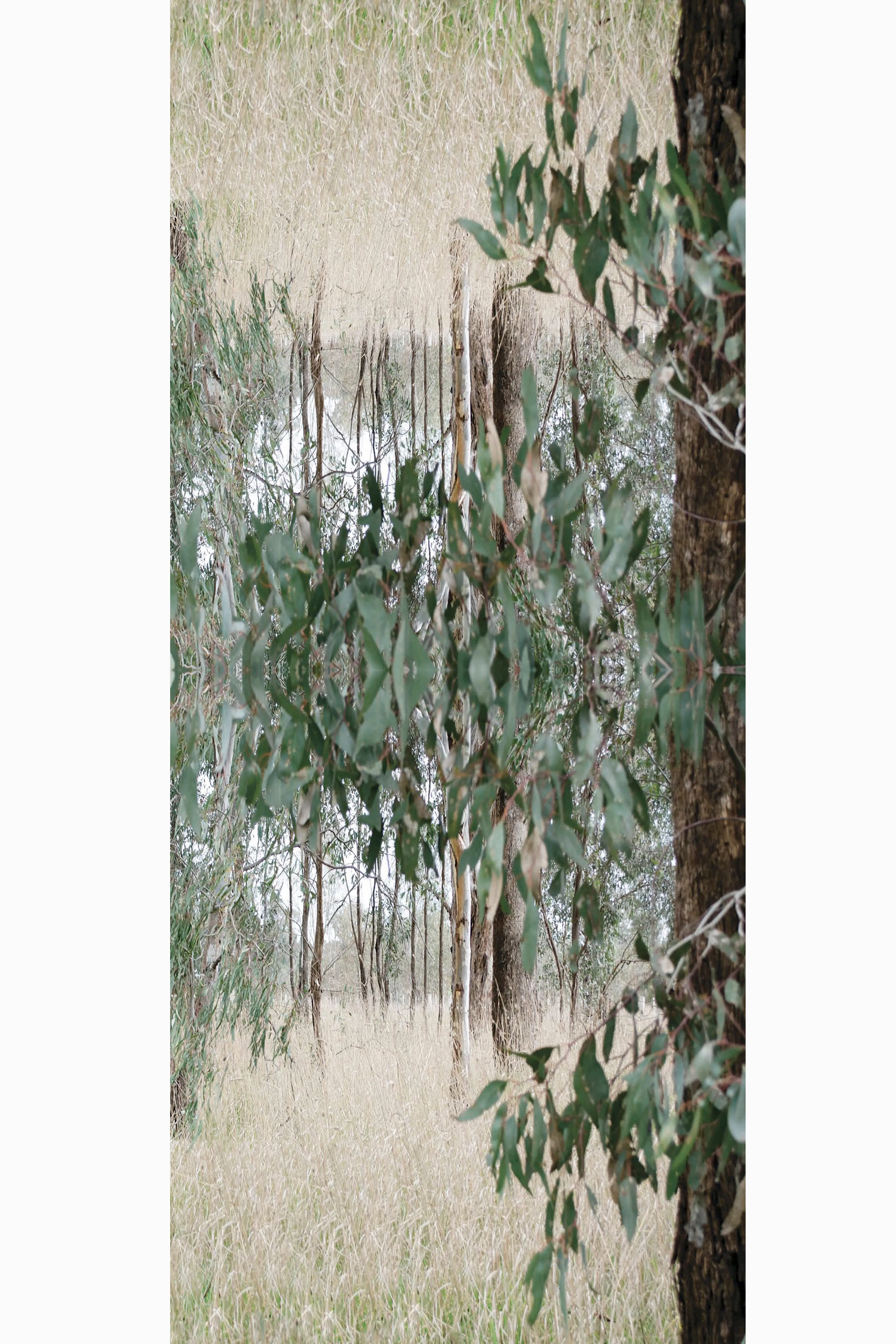 NATIVE BUSHLAND WOOL & SILK SCARF