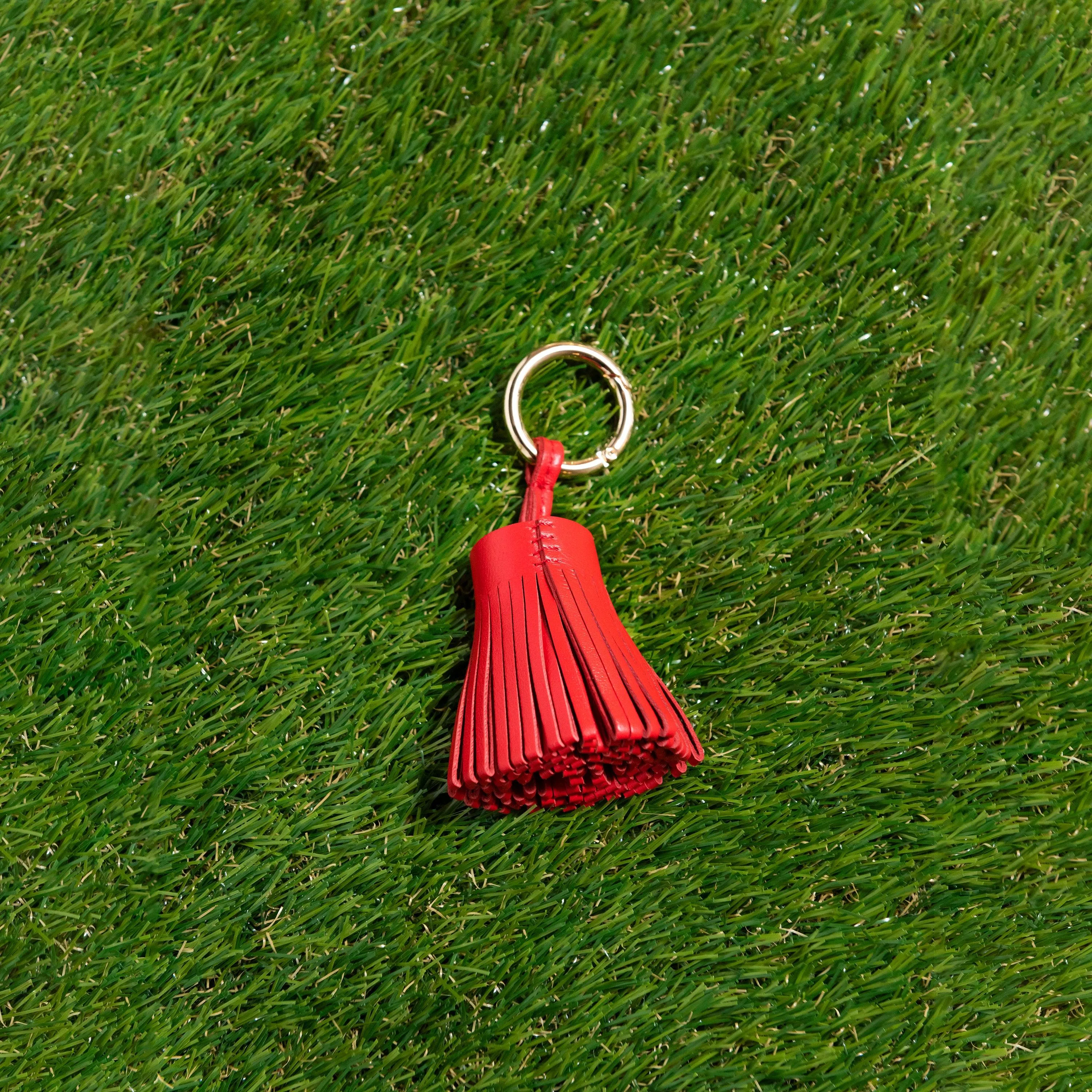 The Dome - Go Texan Day Accessory Package